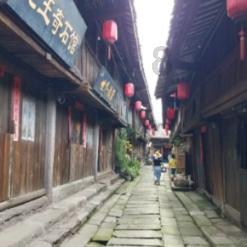 探秘冰箱不结冰,什么原因?,解锁更多有趣问题答案
